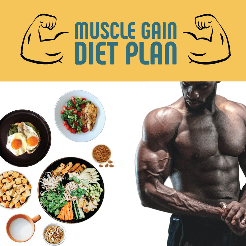 Muscle-gain-website_V.1.1
